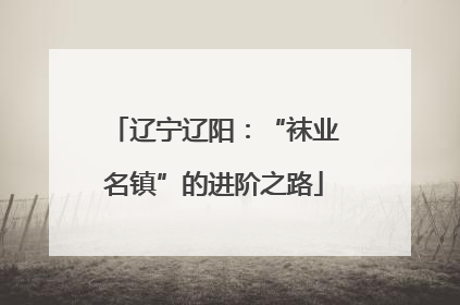 辽宁辽阳：“袜业名镇”的进阶之路